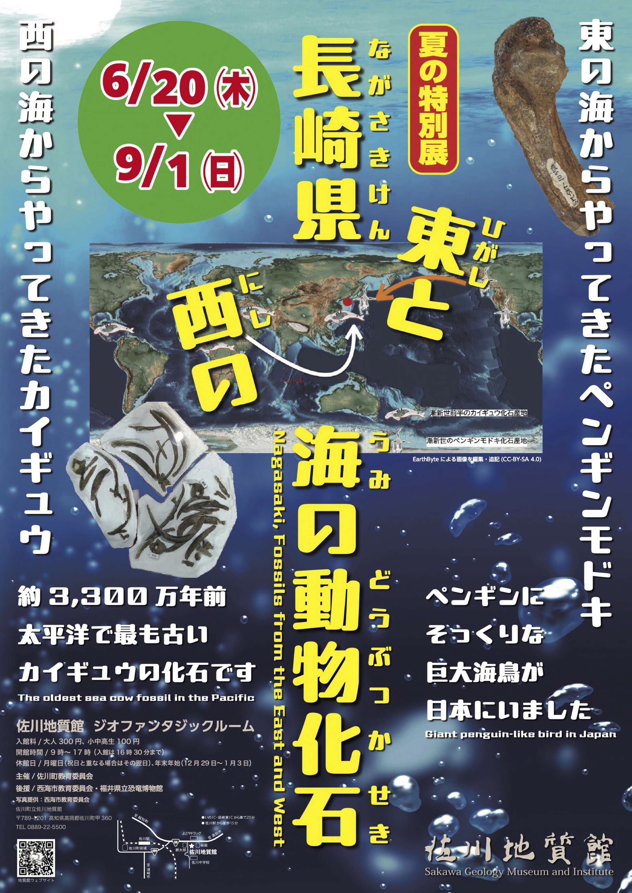 夏の特別展　「長崎県　東と西の海の動物たち」