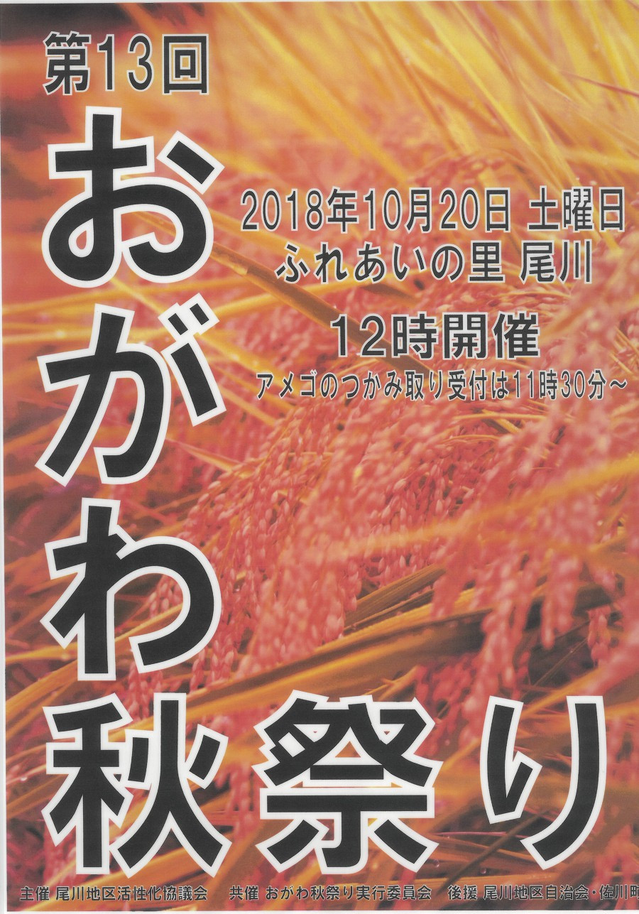 第13回 おがわ秋まつり